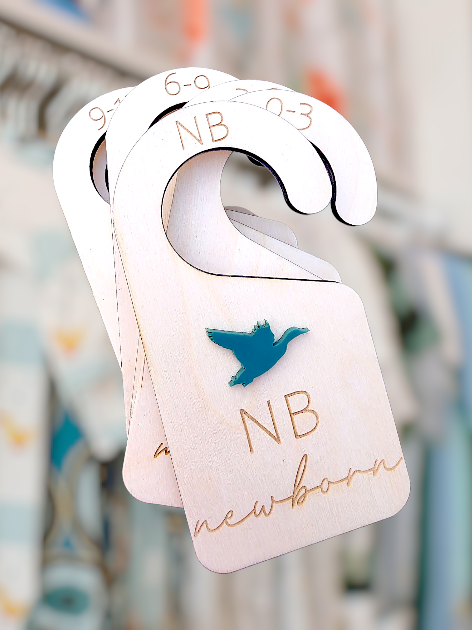 Custom Closet Dividers for Baby Clothes